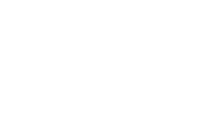 Fram Forge LLC